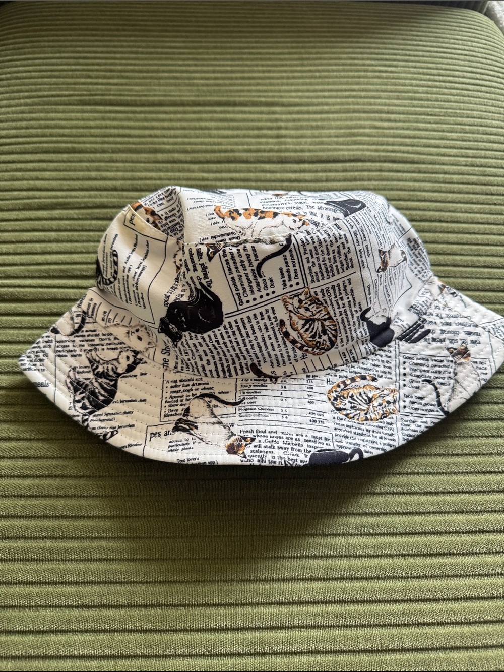 Bucket Hat with Cat Newspaper Print - White/Black